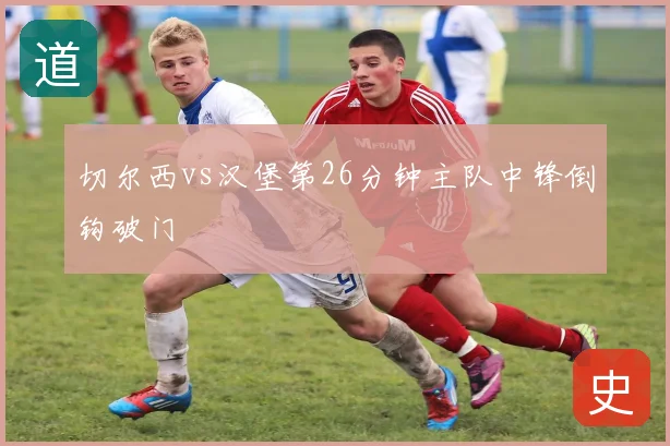 切尔西vs汉堡第26分钟主队中锋倒钩破门