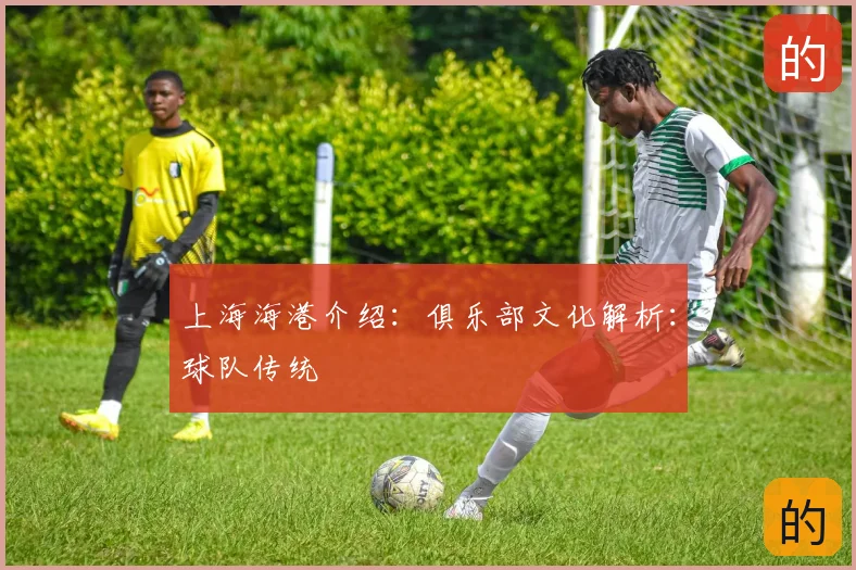 上海海港介绍：俱乐部文化解析：球队传统