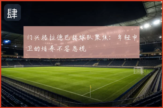 门兴格拉德巴赫球队聚焦：年轻中卫的培养不容忽视